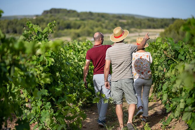 Private Vintage Car Half-Day Wine Tour in 2CV - Additional Information