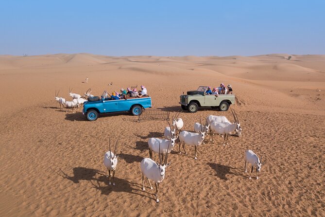 Private Vintage Land Rover Heritage Desert Safari- 4 Course Dinner & Activities - Additional Information