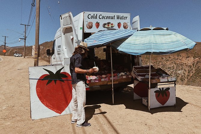 Private Vintage VW Hippie Tour to Malibu With Wine Tasting - Meeting and Pickup Details