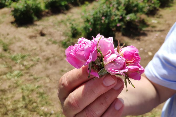 Private VIP Access Rose Festival Kazanlak - Key Points
