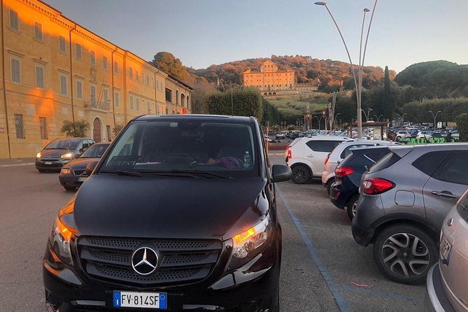 Private VIP Airport Transfer From Rome City to Rome Airport - Accessibility and Additional Info