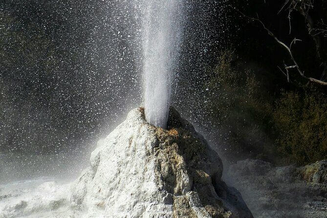 Private VIP Luxury Auckland-Rotorua Geothermal Wonderlands - The Sum Up