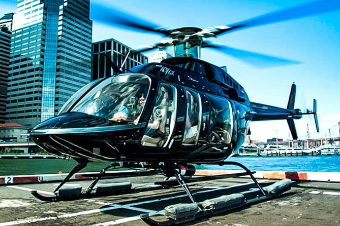 Private VIP New York City Helicopter Tour and Luxury SUV - Inclusions in the Tour