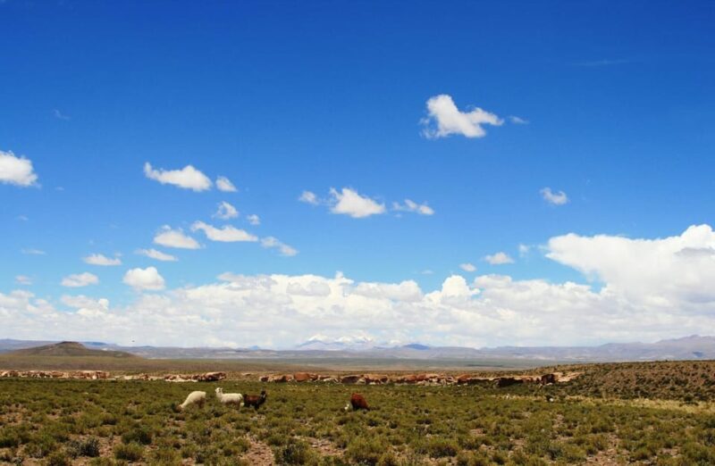 Private VIP Service: San Pedro De Atacama - Uyuni (4d/3n) - Key Points
