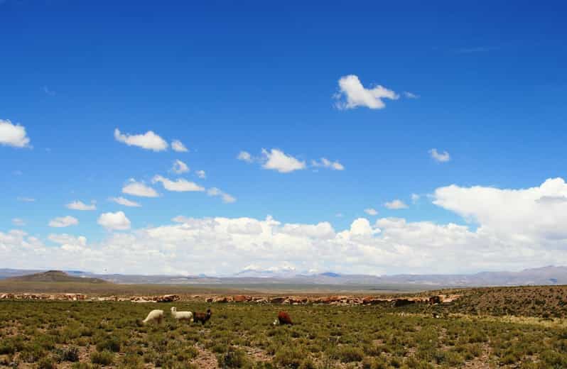 Private VIP Service: San Pedro De Atacama - Uyuni (4d/3n) - Booking Information