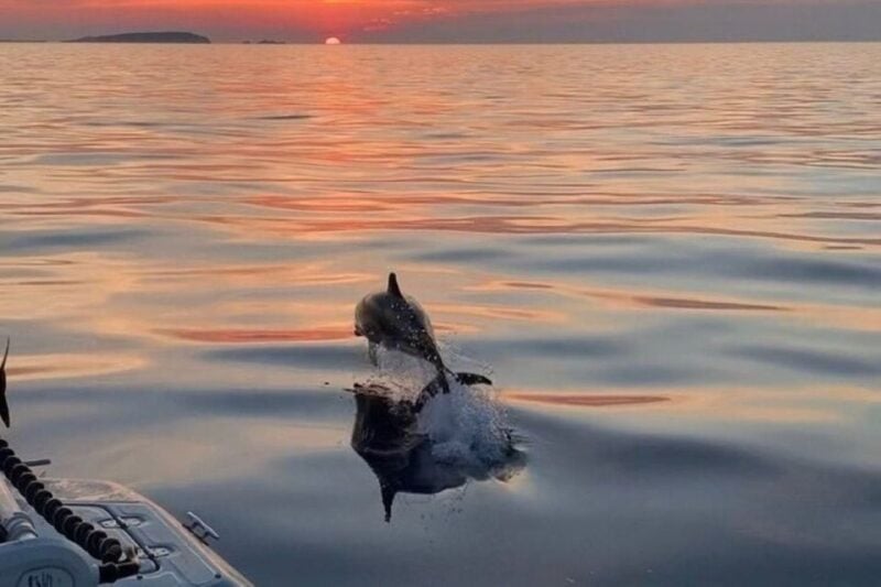 Private VIP Sunset Tour in Naxos - Inclusions