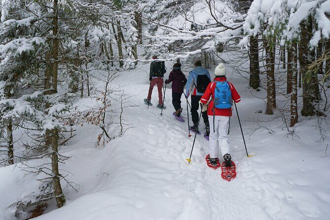 Private VIP Tongariro Overnight Snowshoeing Tour - Starting Point: Convenient Meeting & Gear Check