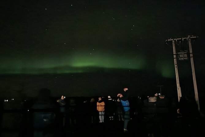 Private VIP Tour Northern Light in Aurora Reykjavik - Reviews