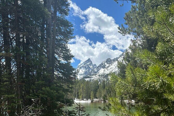 Private VIP Tour of Grand Teton National Park - Detailed Itinerary Breakdown
