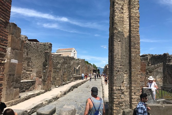 Private VIP Tour to Pompeii Ruins With a Private Guide - Tour Highlights