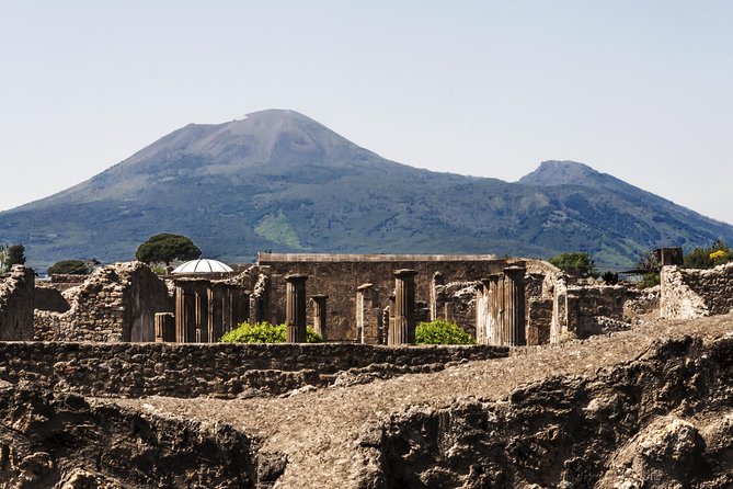 Private VIP Tour to Pompeii Ruins With a Private Guide - Important Information