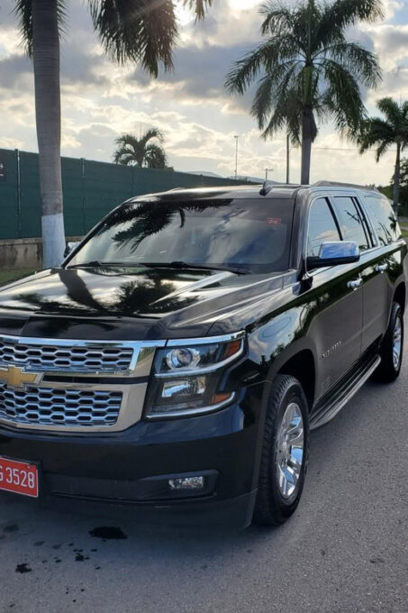 Private VIP Transfers From Punta Cana Airport to Uvero Alto - Personalized Service and Recommendations