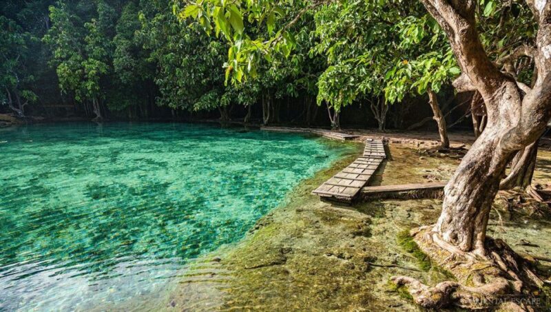 Private VIP Van : Hot Springs, Emerald Pool, Tiger Cave - Transportation and Pickup Information