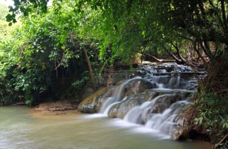 Private VIP Van : Hot Springs, Emerald Pool, Tiger Cave - Included and Excluded Services