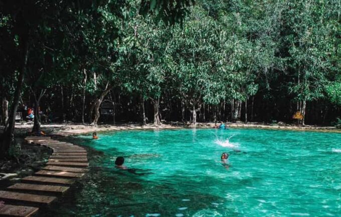 Private VIP Van Jungle Tour ( VIP ) - Frequently Asked Questions