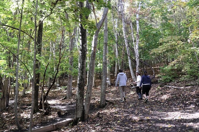 Private Visit Local Bike Park & Mountain Biking in Sapporo - Included Services and Amenities