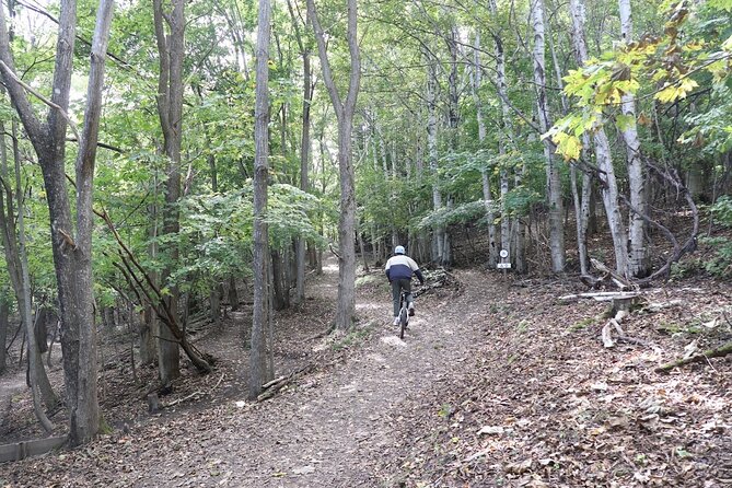 Private Visit Local Bike Park & Mountain Biking in Sapporo - Private Tour and Pricing