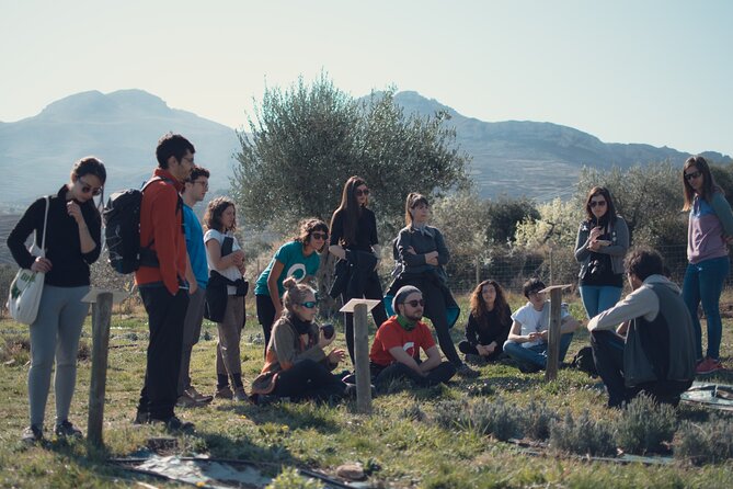Private Visit to an Aromatic Plant Farm in La Rioja - Accessibility and Participation