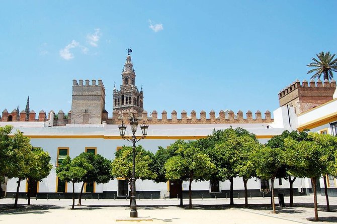 Private Visit to the Alcázar and Cathedral of Seville - Exploring the Alcázar