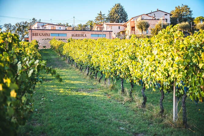 Private Visit to the Brugnoni Winery With Tasting of 4 Wines - Accessibility Features