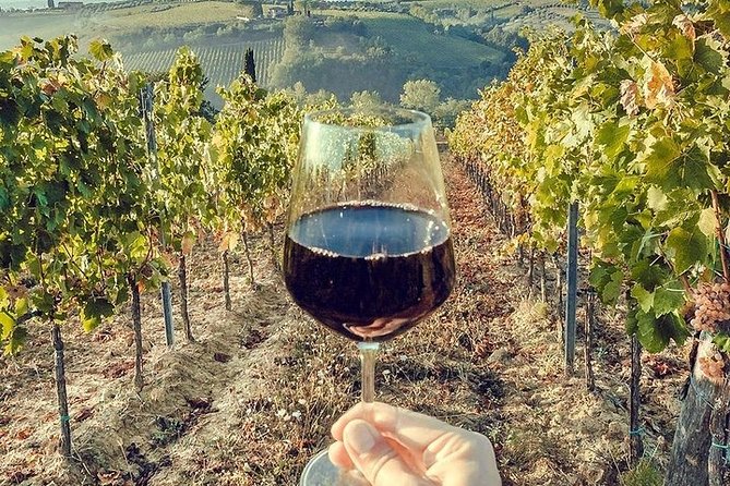 Private Visit to the Cellars of Etna With Wine Tasting - Etnas Volcanic Landscapes