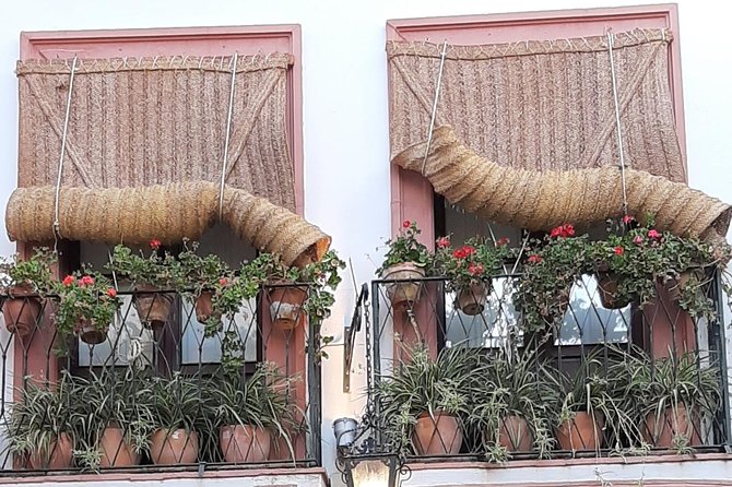 Private Visit to the Jewish Quarter of Seville (Sta. Cruz and San Bartolomé Neighborhoods) - Expert Narration and Explanations