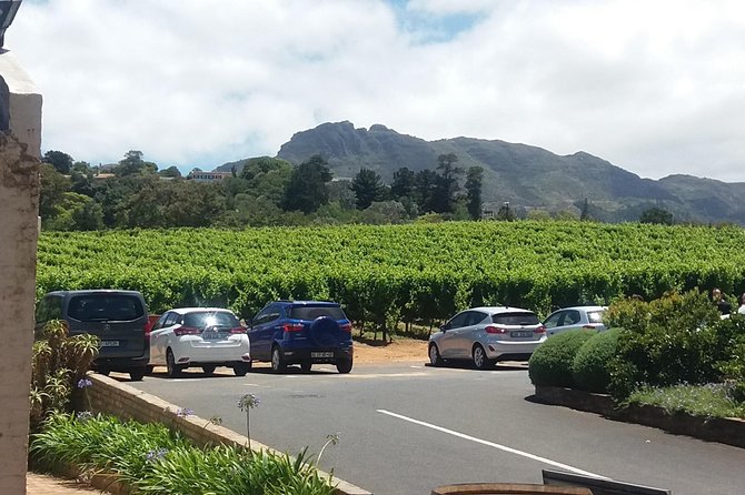 Private Visit to the Wineries Stellenbosch Franschoek From Cape Town Full Day - Tour Overview