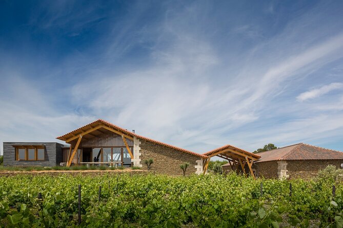 Private Visit With Wine Tasting in Alijó Douro - Accessibility and Participation