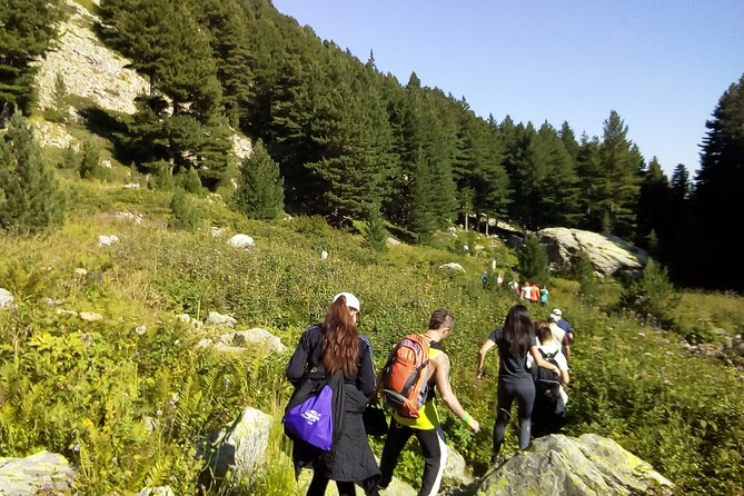 Private Vitosha Mountains Hiking With Black Peak & Dragalevtsi Monastery - About Your Stay