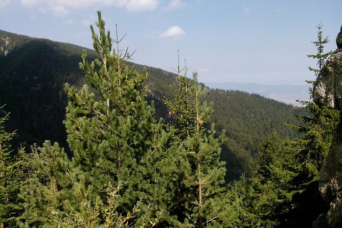 Private Vitosha Mountains Hiking With Black Peak & Dragalevtsi Monastery - Reviews and Feedback