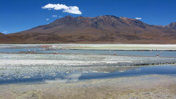 Private Volcano Tunupa and Uyuni Salt Flats Full-Day Tour From Uyuni - Key Points