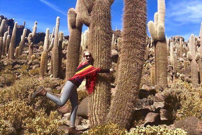 Private Volcano Tunupa and Uyuni Salt Flats Full-Day Tour From Uyuni - Tunupa Volcano Discovery