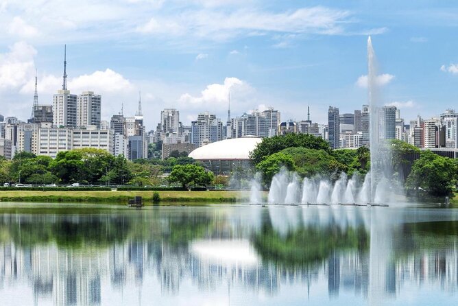 Private VW Bus Tour With Ibirapuera Park and Batman'S Alley Visit - Key Points