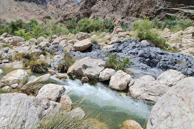 Private Wadi Arbyeen - Sinkhole - White Sand Beach- Full Day Tour - Customer Reviews