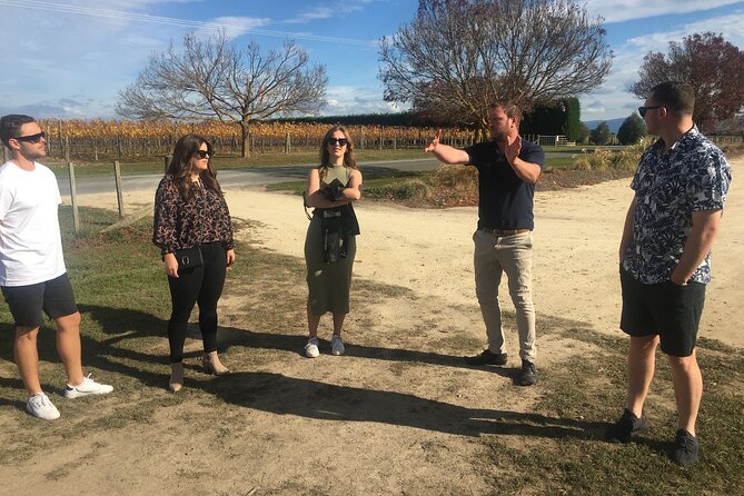 Private Wairarapa Wine Delights Tour From Wellington - Lunch and Tastings