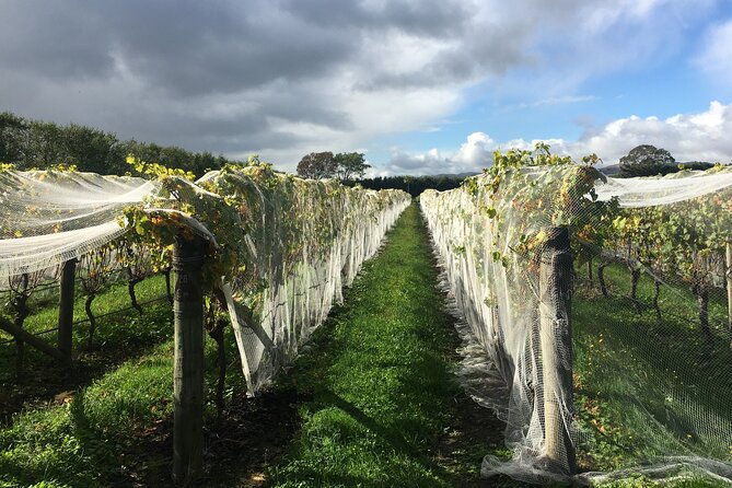 Private Wairarapa Wine Delights Tour From Wellington - Customizable Tour Options