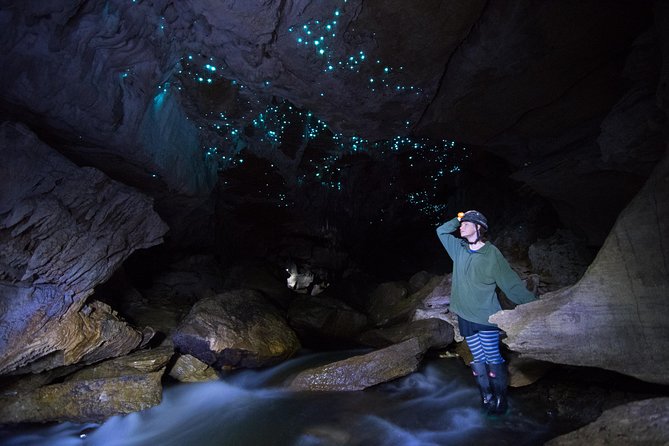 Private Waitomo Glowworm Cave Tours - Customer Feedback
