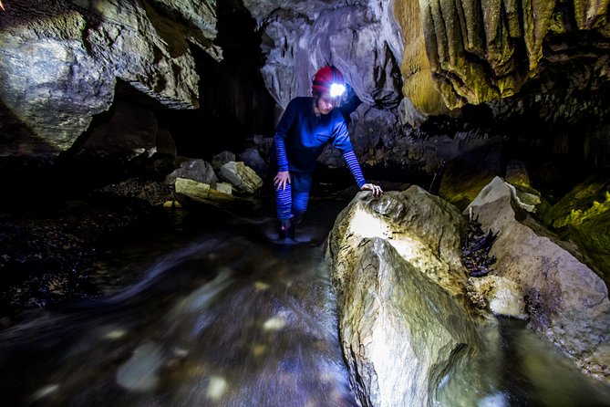Private Waitomo Glowworm Cave Tours - Exclusive Experience