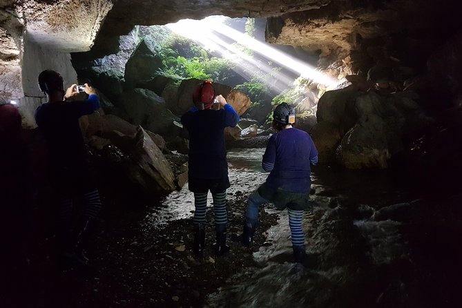 Private Waitomo Glowworm Cave Tours - Knowledgeable Local Guide