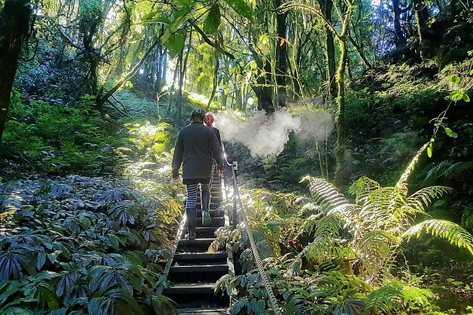 Private Waitomo Glowworm Cave Tours - Mesmerizing Glowworm Displays