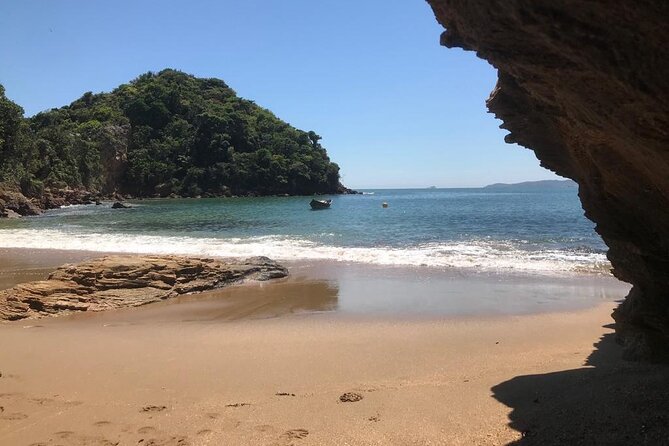 Private Walk Through Mangue De Pedras and Ponta Do Pai Vitório - Tour Highlights