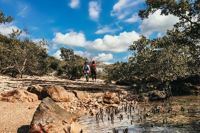 Private Walk Through Mangue De Pedras and Ponta Do Pai Vitório - Schedule and Availability