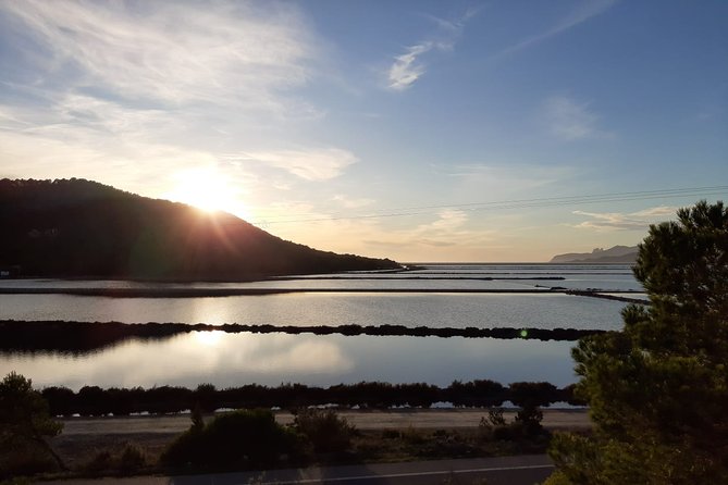 Private Walking & Hiking Experience Ibiza - Tour Features