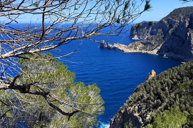 Private Walking & Hiking Experience Ibiza - Tips for a Great Experience