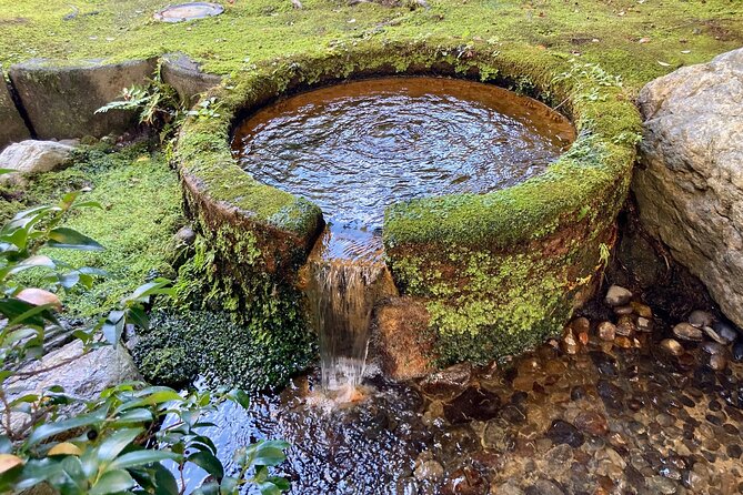 Private Walking Tour: a Kanazawa Garden Exploration - Insights Into the Cultural Significance of the Gardens