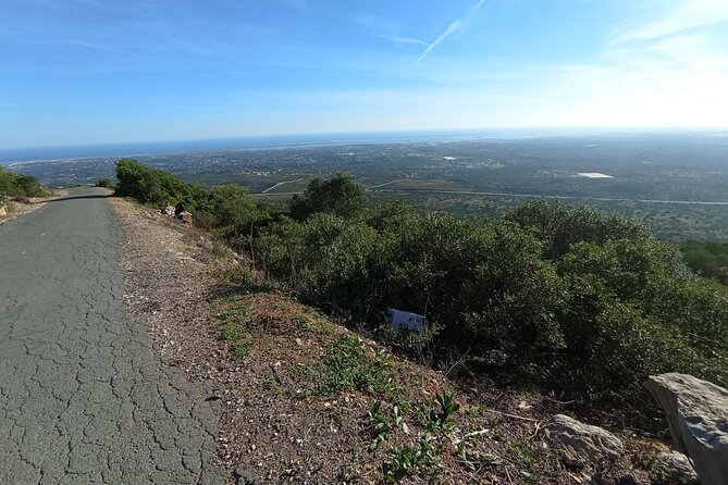 Private Walking Tour and Guided Picnics With Local Food and Wine - Tour Overview and Highlights