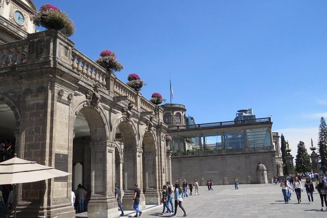 Private Walking Tour Anthropology Museum & Chapultepec Castle - Cultural Insights and Educational Value