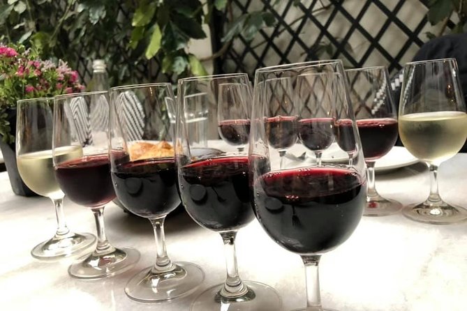 Private Walking Tour & Argentine Wine Tasting - Wine Tasting Experience