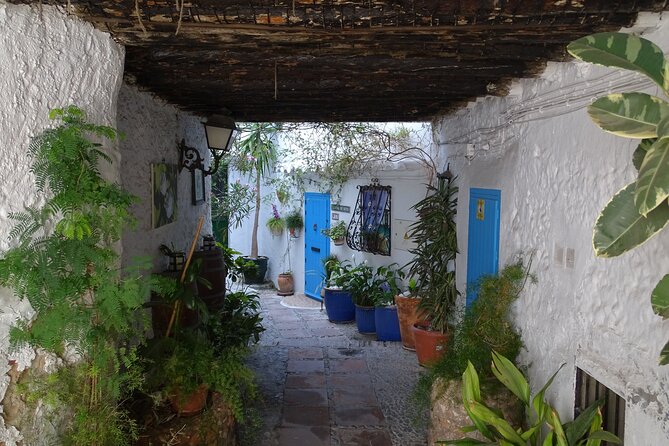 Private Walking Tour Around the Old Town of Frigiliana - Quick Points