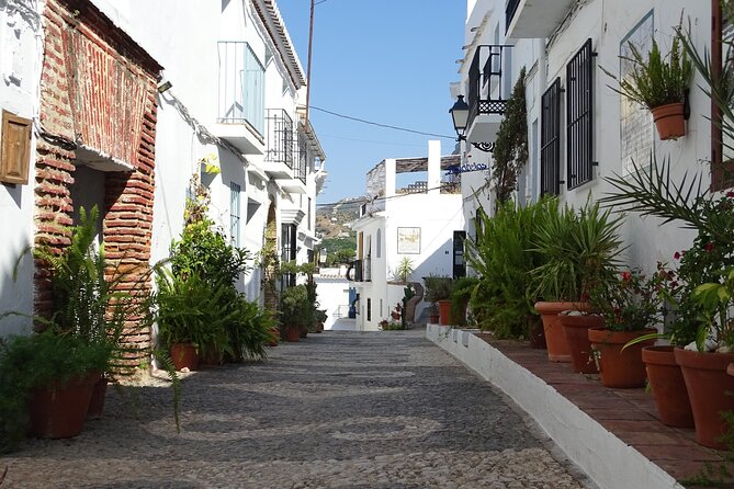 Private Walking Tour Around the Old Town of Frigiliana - Included Features and Accessibility